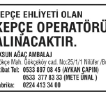 AKSUN AĞAÇ AMBALAJ