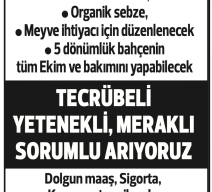 TECRÜBELİ ELEMAN