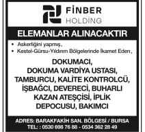 FİNBER