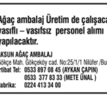 AKSUN AĞAÇ 