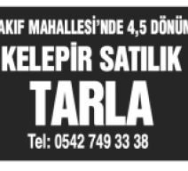 SATILIK TARLA