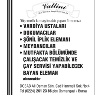 VALLİNİ