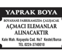 YAPRAK BOYA
